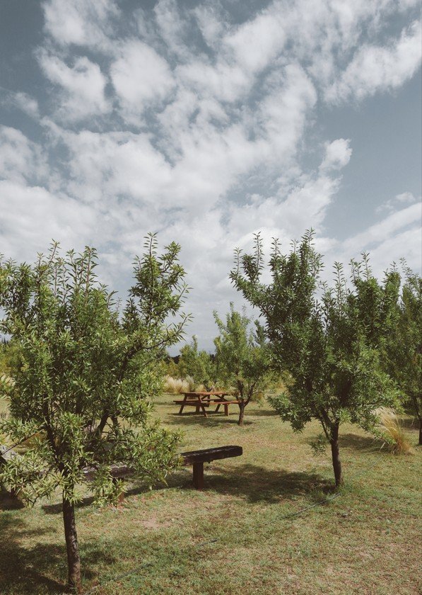 Área verde con árboles y espacios para descansar en Cabañas Las Guaras