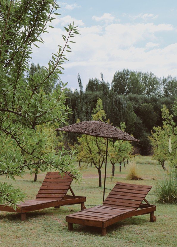 Reposeras al aire libre rodeadas de árboles en Cabañas Las Guaras