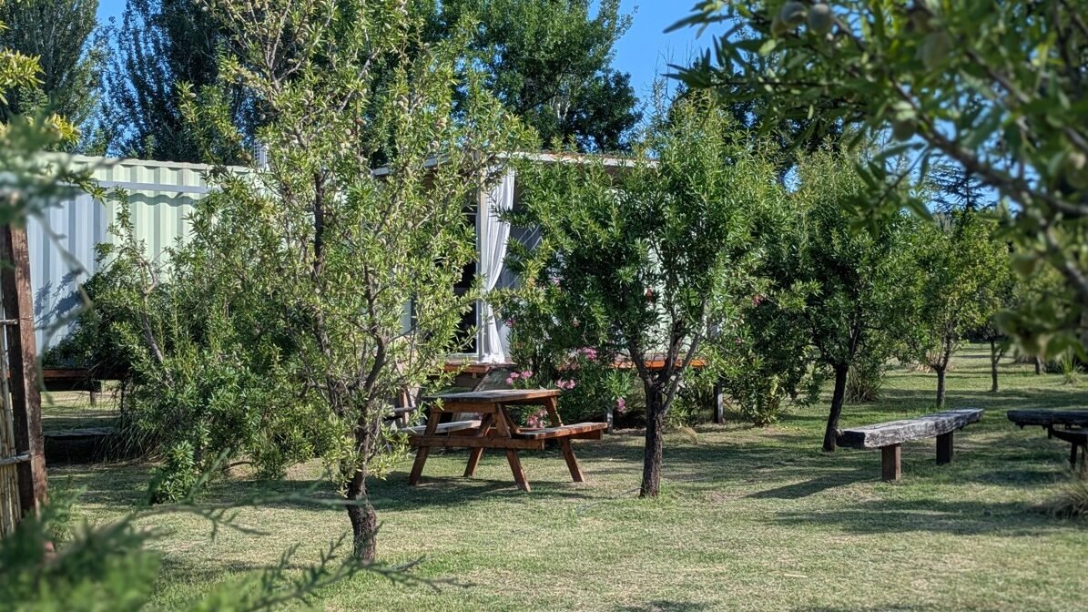 Cabaña entre árboles con mesa de madera en el jardín.